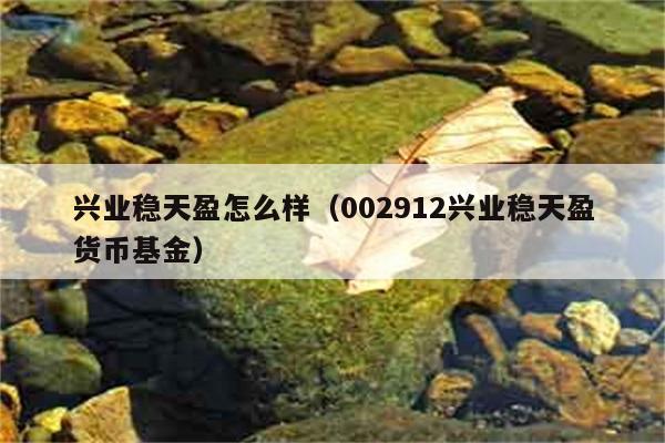 兴业稳天盈怎么样（002912兴业稳天盈货币基金） 