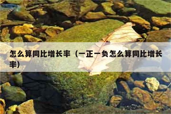 怎么算同比增长率（一正一负怎么算同比增长率） 