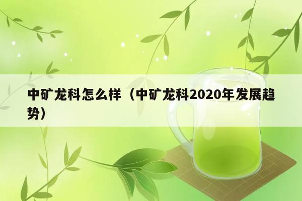 中矿龙科怎么样（中矿龙科2020年发展趋势） 