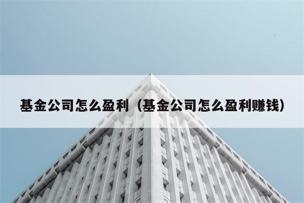 基金公司怎么盈利（基金公司怎么盈利赚钱） 