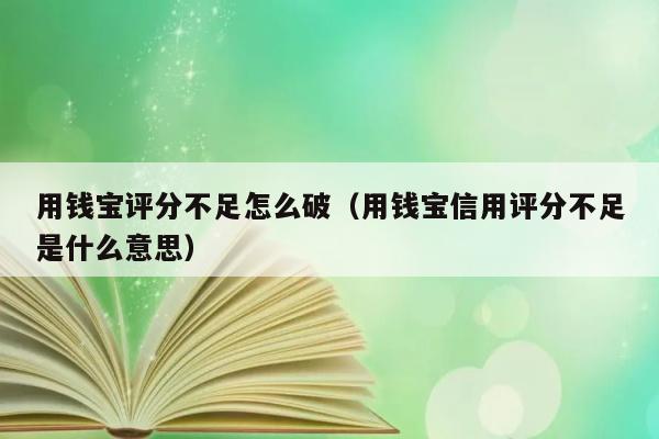 用钱宝评分不足怎么破（用钱宝信用评分不足是什么意思） 