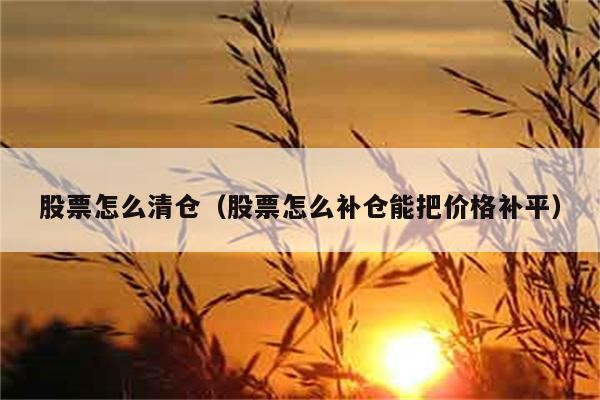 股票怎么清仓（股票怎么补仓能把价格补平） 