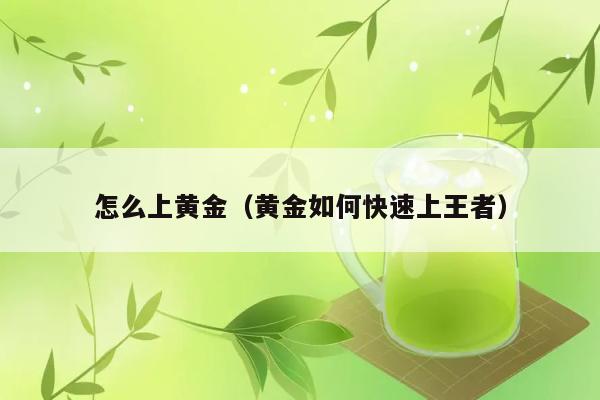 怎么上黄金（黄金如何快速上王者） 