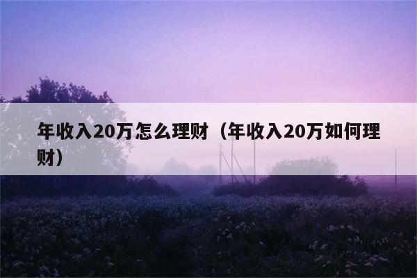 年收入20万怎么理财（年收入20万如何理财） 