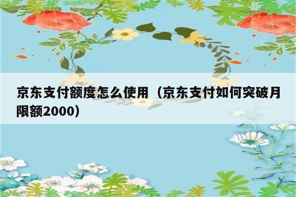 京东支付额度怎么使用（京东支付如何突破月限额2000） 