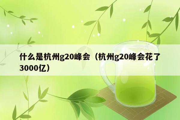 什么是杭州g20峰会（杭州g20峰会花了3000亿） 