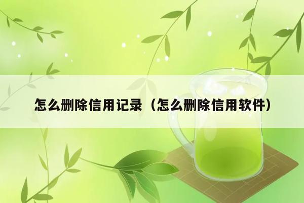 怎么删除信用记录（怎么删除信用软件） 