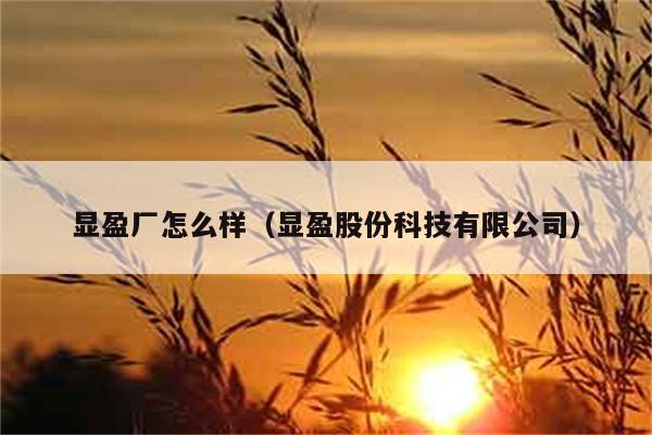 显盈厂怎么样（显盈股份科技有限公司） 