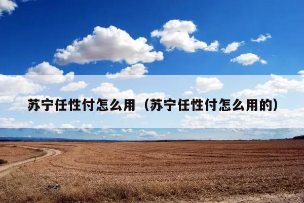 苏宁任性付怎么用（苏宁任性付怎么用的） 