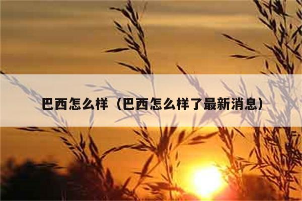 巴西怎么样（巴西怎么样了最新消息） 