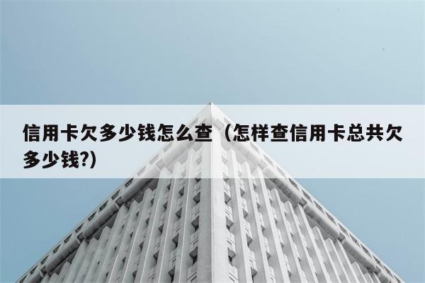 信用卡欠多少钱怎么查（怎样查信用卡总共欠多少钱?） 