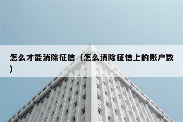 怎么才能消除征信（怎么消除征信上的账户数） 