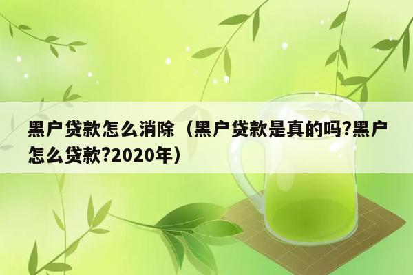 黑户贷款怎么消除（黑户贷款是真的吗?黑户怎么贷款?2020年） 