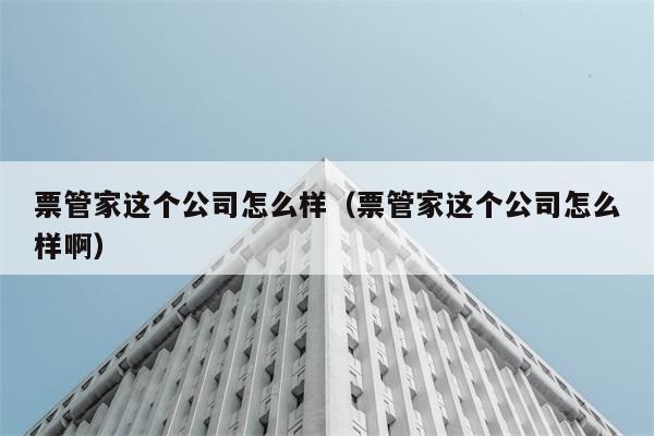 票管家这个公司怎么样（票管家这个公司怎么样啊） 