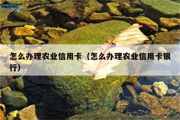 怎么办理农业信用卡（怎么办理农业信用卡银行） 