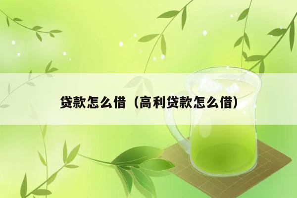 贷款怎么借（高利贷款怎么借） 