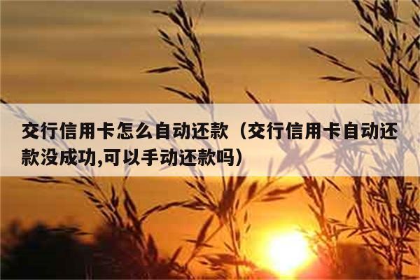 交行信用卡怎么自动还款（交行信用卡自动还款没成功,可以手动还款吗） 