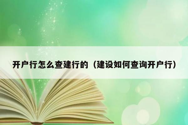 开户行怎么查建行的（建设如何查询开户行） 