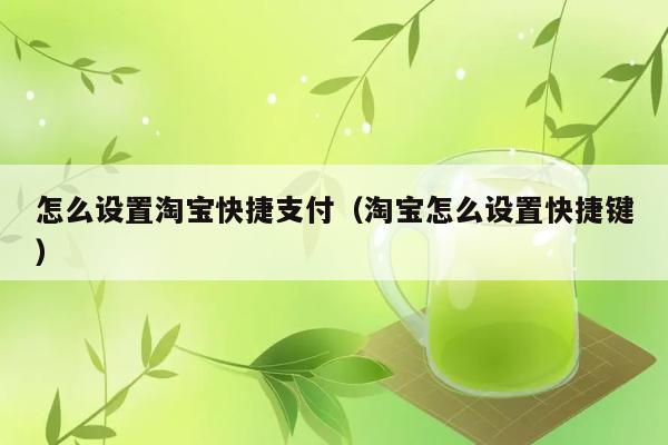 怎么设置淘宝快捷支付（淘宝怎么设置快捷键） 