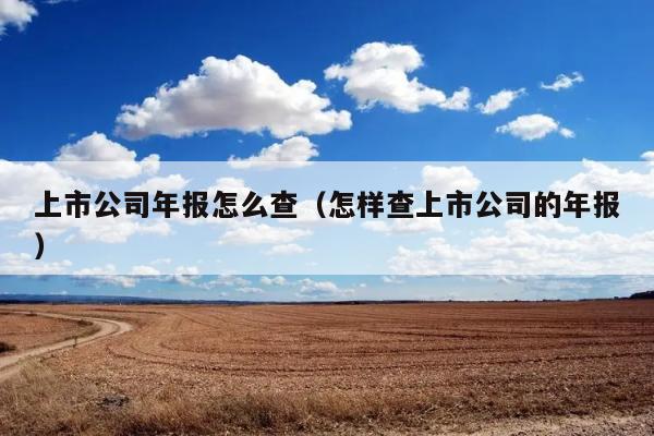 上市公司年报怎么查（怎样查上市公司的年报） 