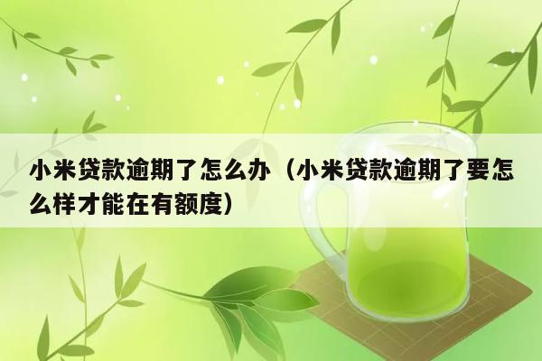 小米贷款逾期了怎么办（小米贷款逾期了要怎么样才能在有额度） 