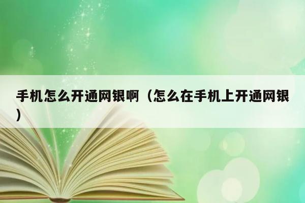 手机怎么开通网银啊（怎么在手机上开通网银） 