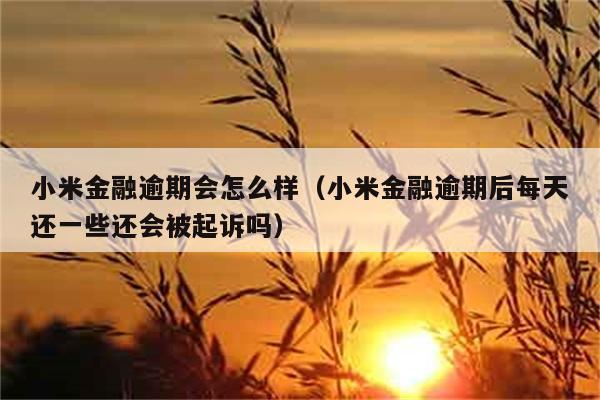 小米金融逾期会怎么样（小米金融逾期后每天还一些还会被起诉吗） 