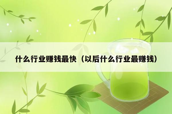 什么行业赚钱最快（以后什么行业最赚钱） 