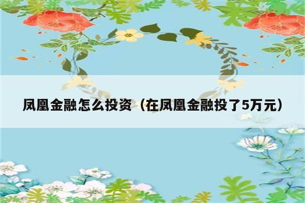 凤凰金融怎么投资（在凤凰金融投了5万元） 