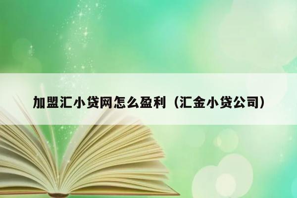 加盟汇小贷网怎么盈利（汇金小贷公司） 