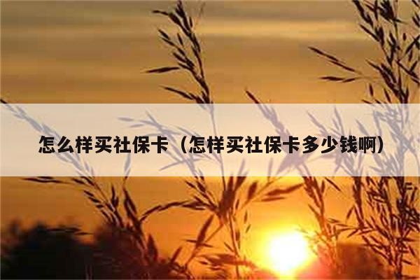 怎么样买社保卡（怎样买社保卡多少钱啊） 