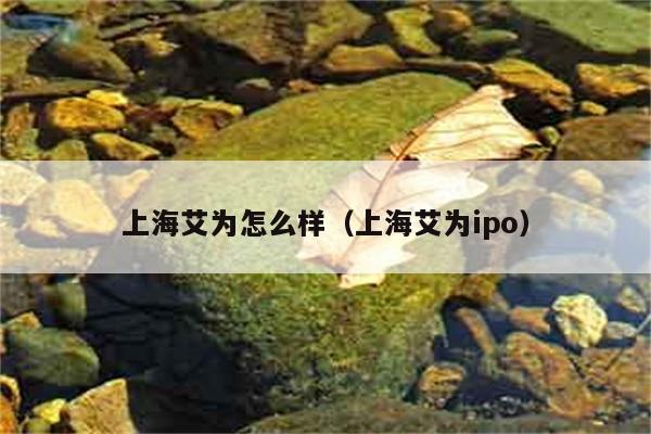 上海艾为怎么样（上海艾为ipo） 