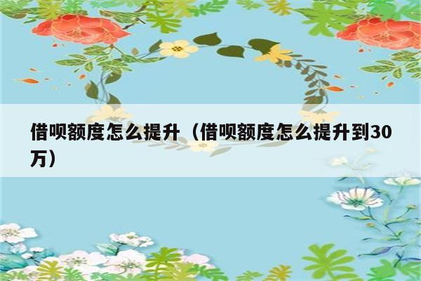 借呗额度怎么提升（借呗额度怎么提升到30万） 