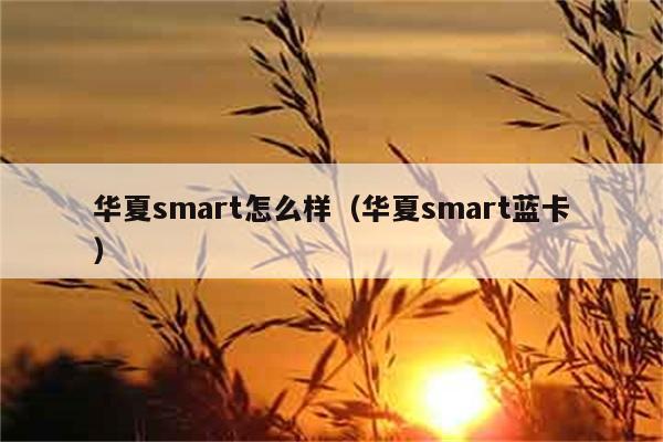 华夏smart怎么样（华夏smart蓝卡） 