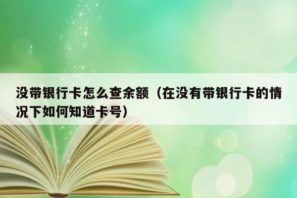 没带银行卡怎么查余额（在没有带银行卡的情况下如何知道卡号） 