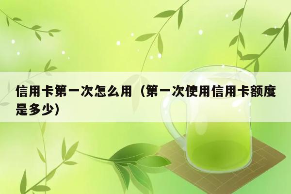 信用卡第一次怎么用（第一次使用信用卡额度是多少） 