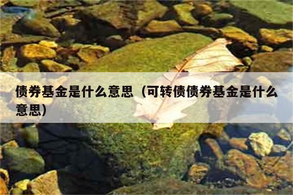 债券基金是什么意思（可转债债券基金是什么意思） 