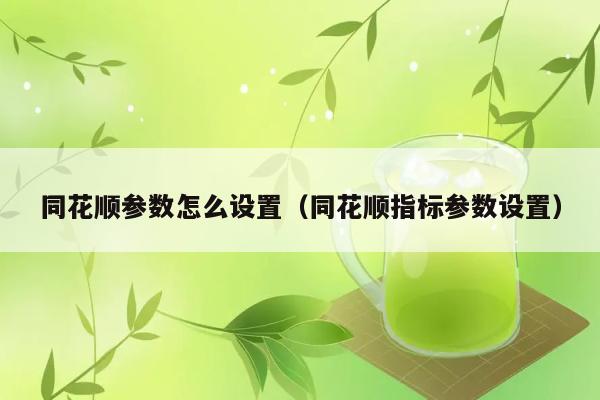 同花顺参数怎么设置（同花顺指标参数设置） 