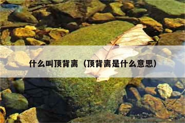 什么叫顶背离（顶背离是什么意思） 