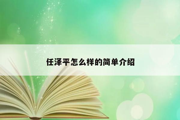 任泽平怎么样的简单介绍 