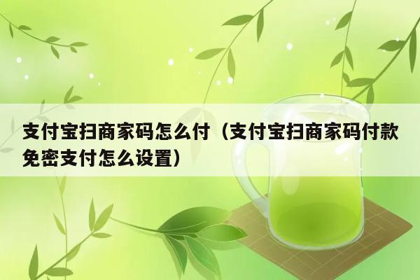 支付宝扫商家码怎么付（支付宝扫商家码付款免密支付怎么设置） 