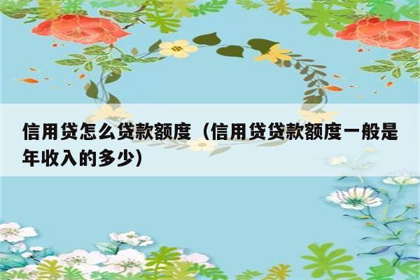 信用贷怎么贷款额度（信用贷贷款额度一般是年收入的多少） 