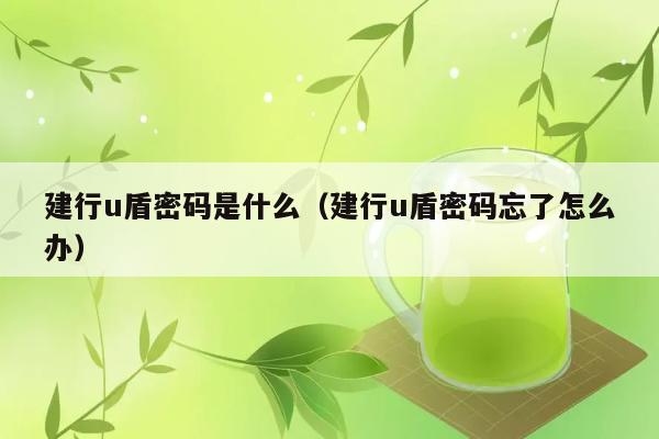 建行u盾密码是什么（建行u盾密码忘了怎么办） 