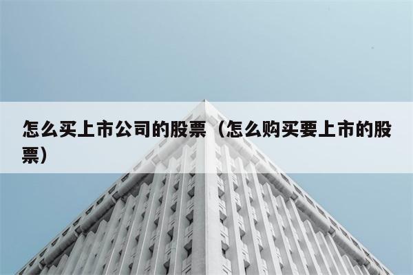 怎么买上市公司的股票（怎么购买要上市的股票） 