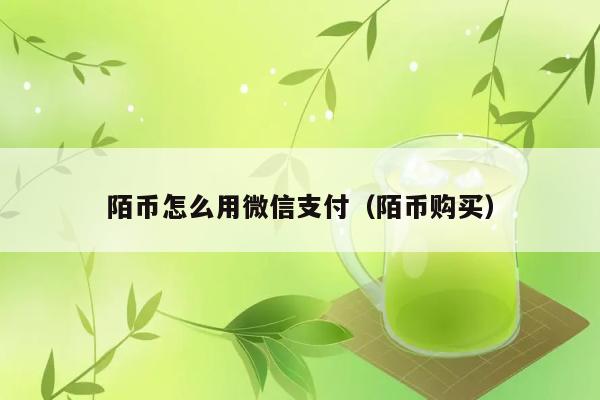 陌币怎么用微信支付（陌币购买） 