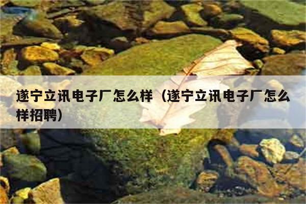 遂宁立讯电子厂怎么样（遂宁立讯电子厂怎么样招聘） 