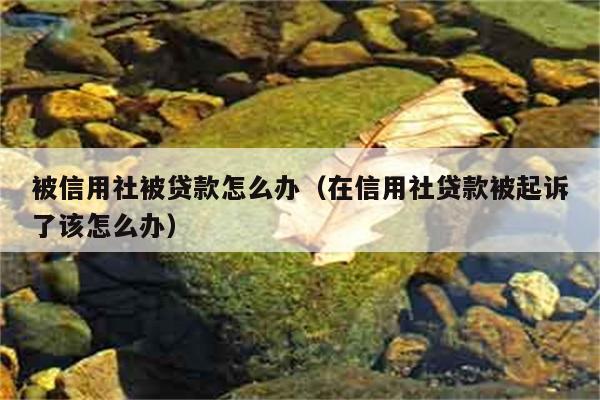 被信用社被贷款怎么办（在信用社贷款被起诉了该怎么办） 