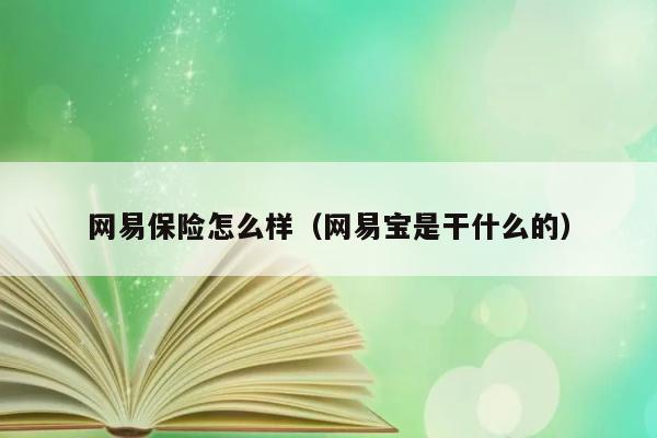 网易保险怎么样（网易宝是干什么的） 