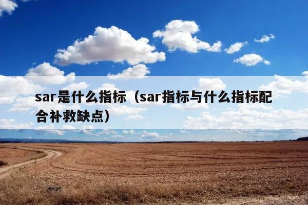 sar是什么指标（sar指标与什么指标配合补救缺点） 