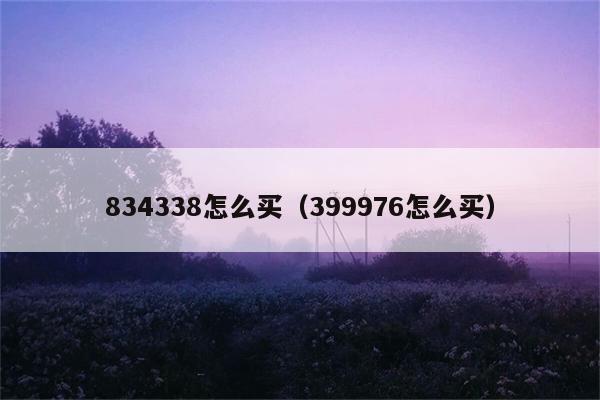 834338怎么买（399976怎么买） 